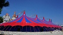 Участвуем в создании цирка шапито!